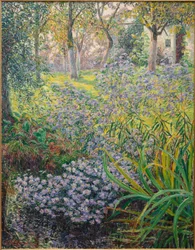Fleurs dans le jardin
