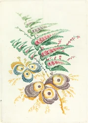 Fleurs fantastiques avec fleurs en coquille d