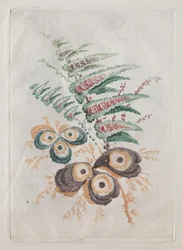 Nouvelle suite de portfolios de fleurs idéale pour la conception et la peinture : Fantaisies florales