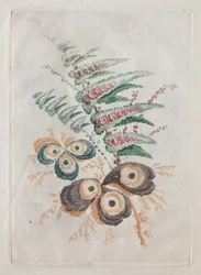 Nouvelle suite de portfolios de fleurs idéales pour la conception et la peinture : Fantaisies florales, vers 179