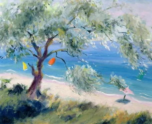 Vue sur une plage