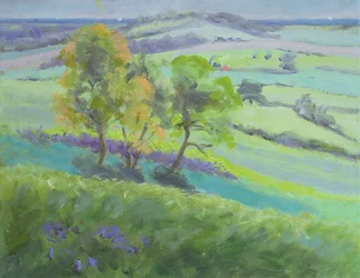Vers Winchelsea, Sussex, avec des jacinthes au printemps