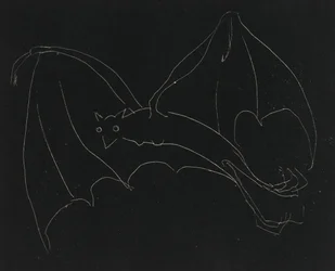Série de nuit : La Chauve-souris