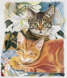 Poivre et Sel