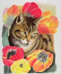 Rayé et tulipe