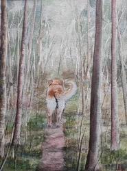 Promenade en forêt avec mon chien
