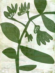 Produits botaniques verts bio