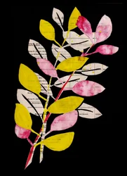 Collage botanique rose et jaune