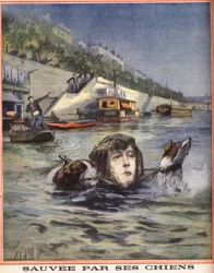 Une femme tombe dans la Seine et est sauvée par ses chiens à Paris. Gravure dans « Le petit parisien » du 14/08/1910. Collection privée.