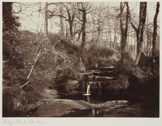 Edge Park, Cheshire, c.1865