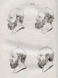 Physionomie - Physiognomonie - Plusieurs têtes du philosophe grec Socrate (ca. 469 av. J.-C.-399 av. J.-C.) (Buste de Socrate (ca 469 av. J.-C.-399 av. J.-C.), philosophe athénien) gravure de 1808 dans L