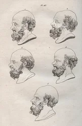 Physionomie - Plusieurs têtes du philosophe grec Socrate (gravure)