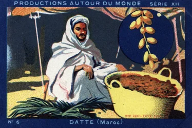 Productions autour du monde : Dattes au Maroc. Chromolithographie de 1933 dans « Album Joseph-Milliat »