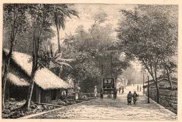 Vue d