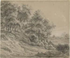 Arbres dans un paysage vallonné