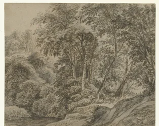 Paysage forestier près de Nimègue