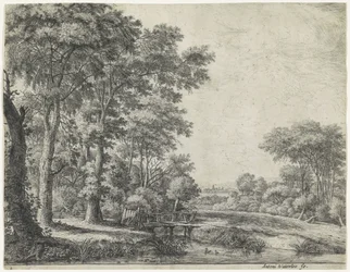 Lisière de forêt avec un pont en bois