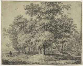 Homme avec chien dans une forêt