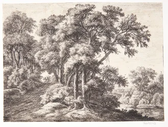 Chemin forestier au bord d