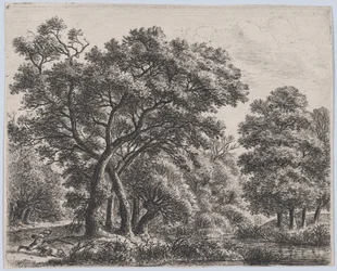 Le chasseur de canards, 17ème siècle