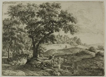 La lisière de la forêt