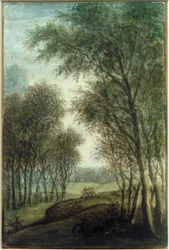Lisière de forêt