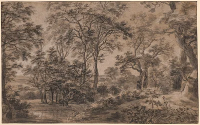 Paysage Boisé