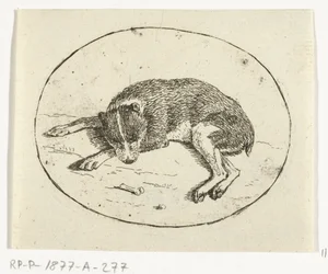 Chien couché