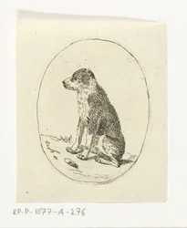 Chien assis