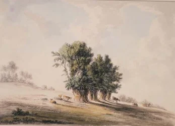 Paysage