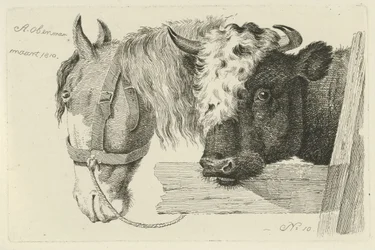Tête de cheval et tête de taureau