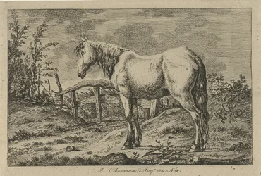 Cheval debout