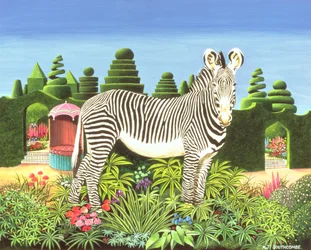 Zèbre dans un jardin, 1977