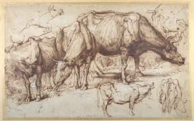 Bétail dans le pâturage, vers 1618-20