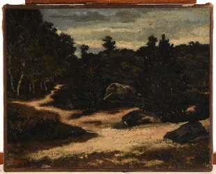 French: Chemin sableux en forêt de Fontainebleau