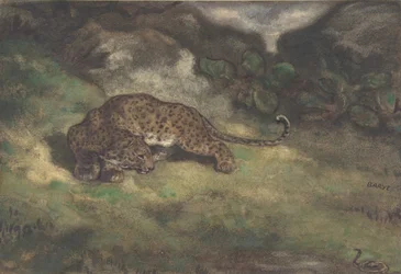 Léopard et Serpent