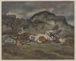 Tigre roulant