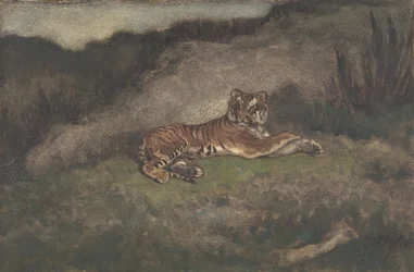 Tigre