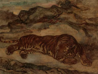 Tigre au repos