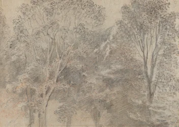 Cimes des arbres [verso]