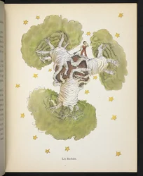Les Baobabs, illustration de 