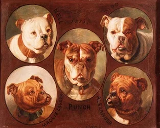 Nell, Dido, Punch, Maggie Lauder et Alexander, Bouledogues anglais