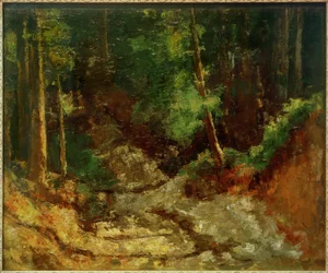 Intérieur de forêt