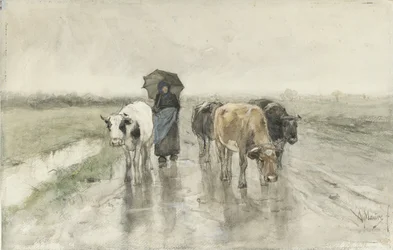 Une bergère avec des vaches sur un chemin de campagne sous la pluie