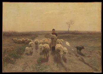 Une bergère et son troupeau