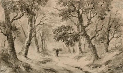 Un ramasseur de bois dans la forêt