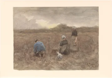 Ramasseurs de pommes de terre