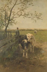 Le virage du lait