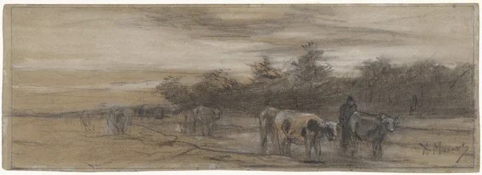 Vaches au crépuscule
