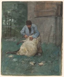 Tondeur de moutons